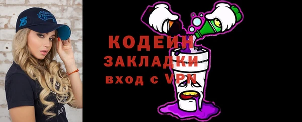 хмурый Алзамай