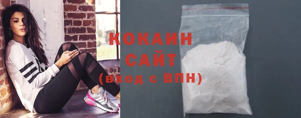 твердый Алексин