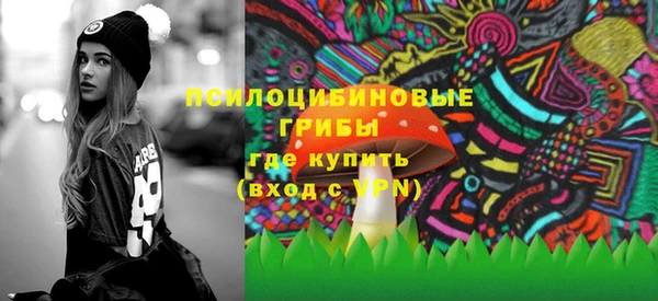 твердый Алексин