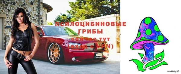 а пвп мука Алексеевка