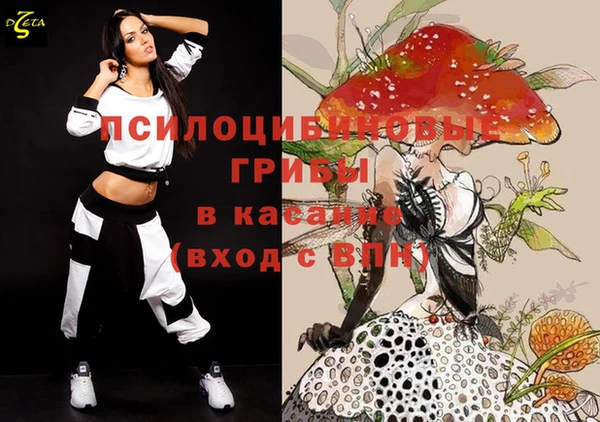 хмурый Алзамай