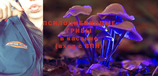 твердый Алексин