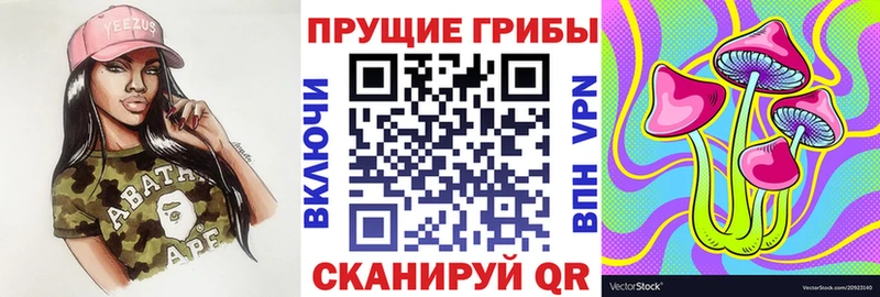 Псилоцибиновые грибы прущие грибы  Камбарка 